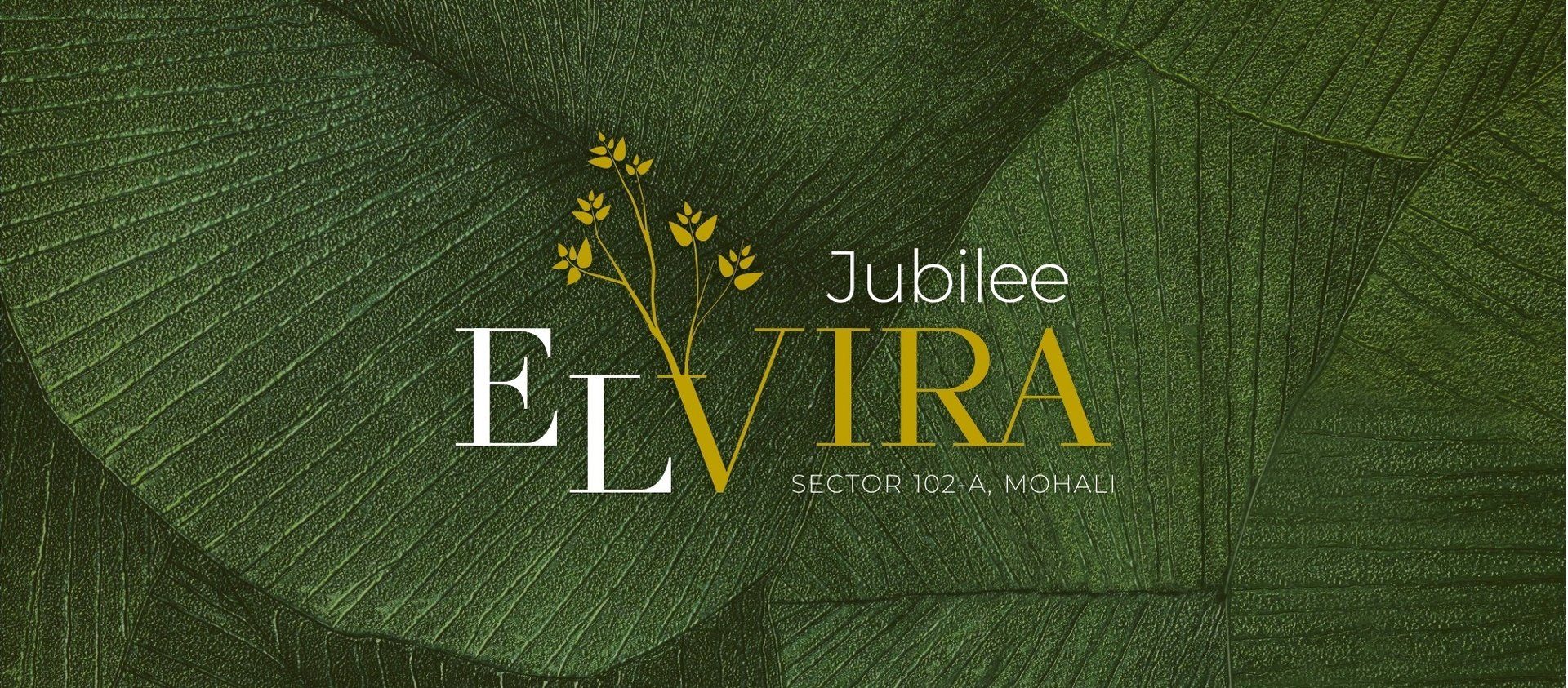 Jubilee Elvira